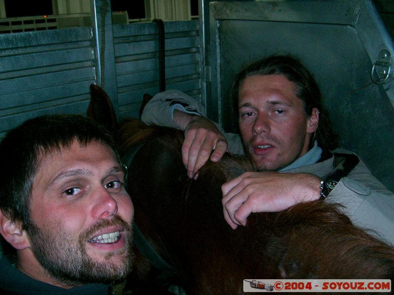 Croisiere Navimag
Mots-clés: chile animals cheval