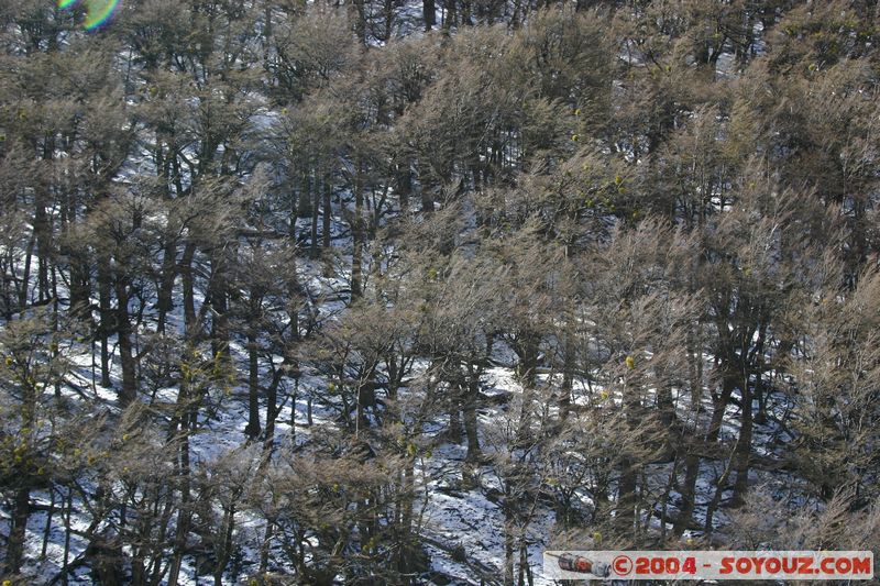 Parque Nacional Torres del Paine
Mots-clés: chile