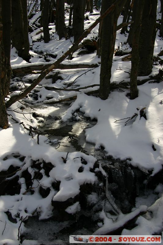 Parque Nacional Torres del Paine
Mots-clés: chile Neige