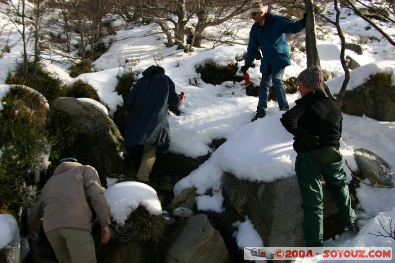 Parque Nacional Torres del Paine
Mots-clés: chile Montagne Neige