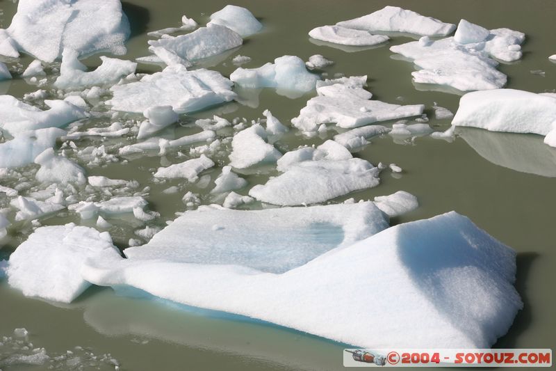 Parque Nacional Torres del Paine - Lago y Glaciar Grey
Mots-clés: chile Lac glacier