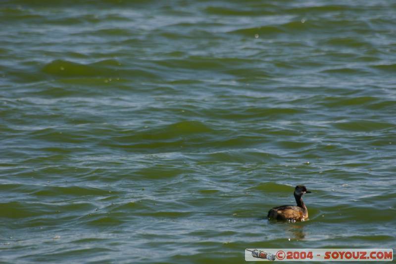 lac Argentino / Argentino Lake
