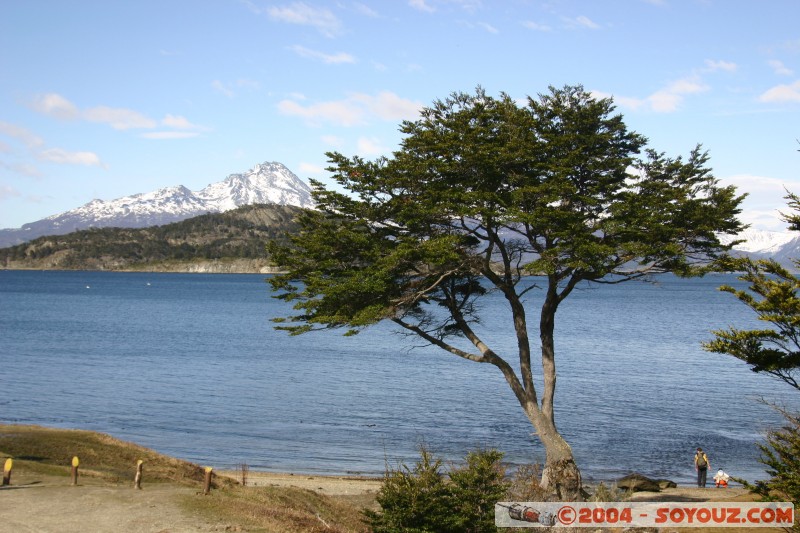 Ensenada Bay & Cerros Sampaio
