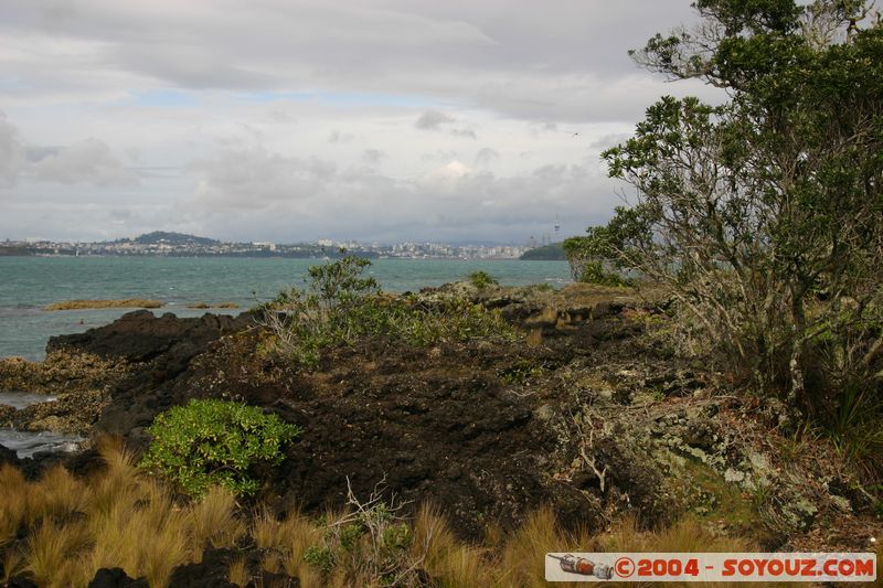 Auckland - Rongitoto Island
Mots-clés: New Zealand North Island mer plante