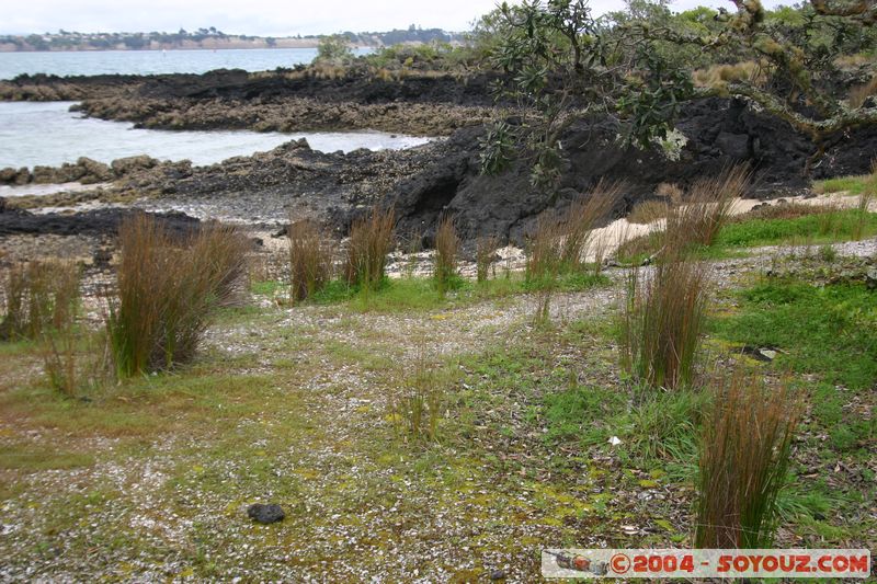 Auckland - Rongitoto Island
Mots-clés: New Zealand North Island mer plage plante