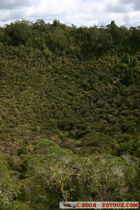 Auckland - Rongitoto Island
Mots-clés: New Zealand North Island