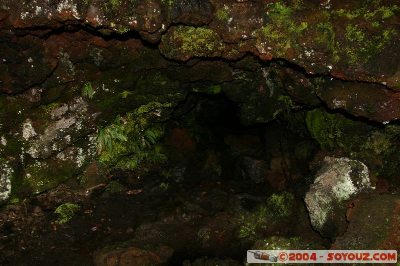 Auckland - Rongitoto Island
Mots-clés: New Zealand North Island