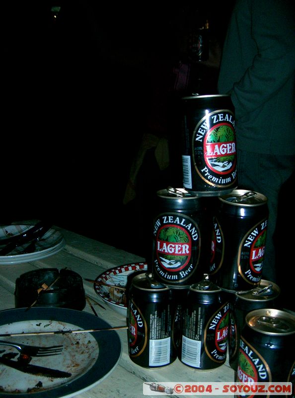 Auckland - Backpackers BBQ
Mots-clés: New Zealand North Island backpackers Nuit