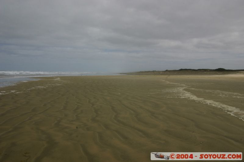 Ninety Mile Beach
Mots-clés: New Zealand North Island plage