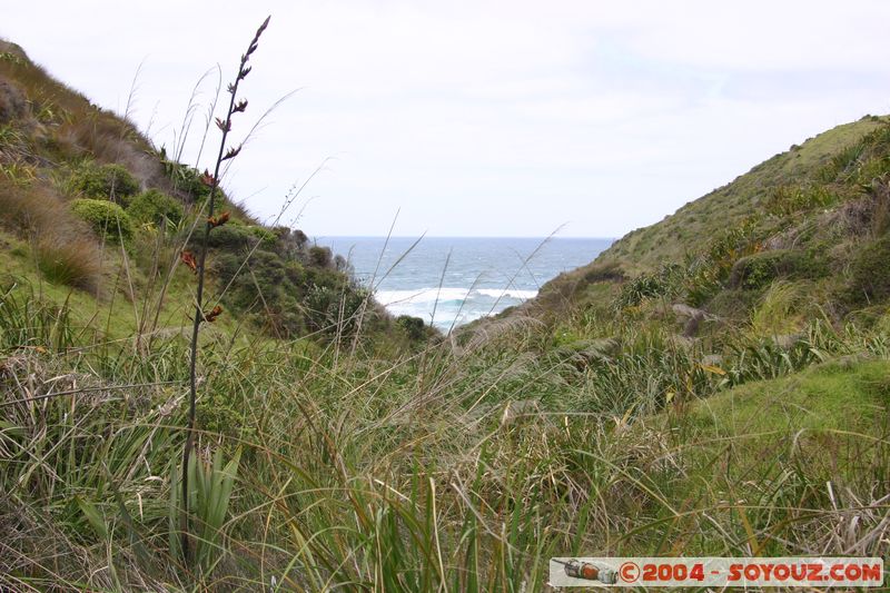 Ninety Mile Beach
Mots-clés: New Zealand North Island