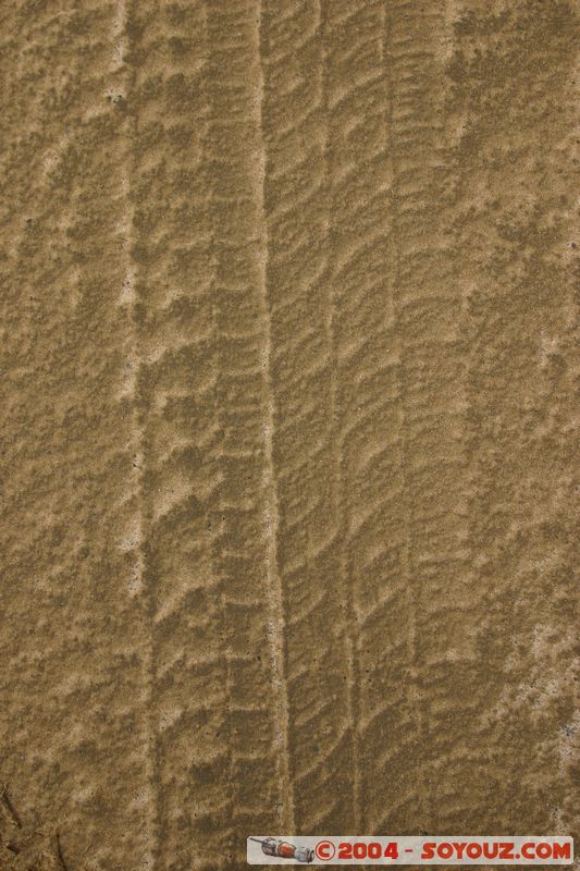 Ninety Mile Beach
Mots-clés: New Zealand North Island