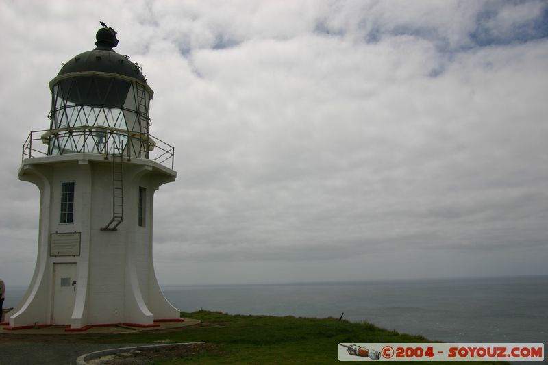 Cape Reinga Lighthouse
Mots-clés: New Zealand North Island mer Phare