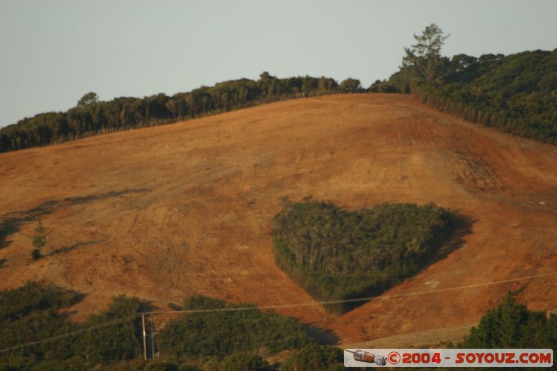 Bay of Islands - Heart shappen wood
Mots-clés: New Zealand North Island sunset Insolite