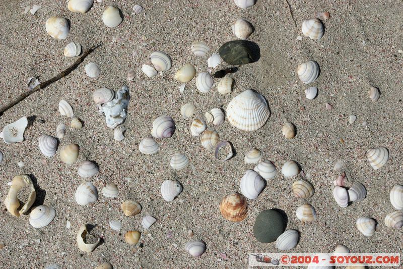 Bay of Islands - Waewaetoria Island
Mots-clés: New Zealand North Island