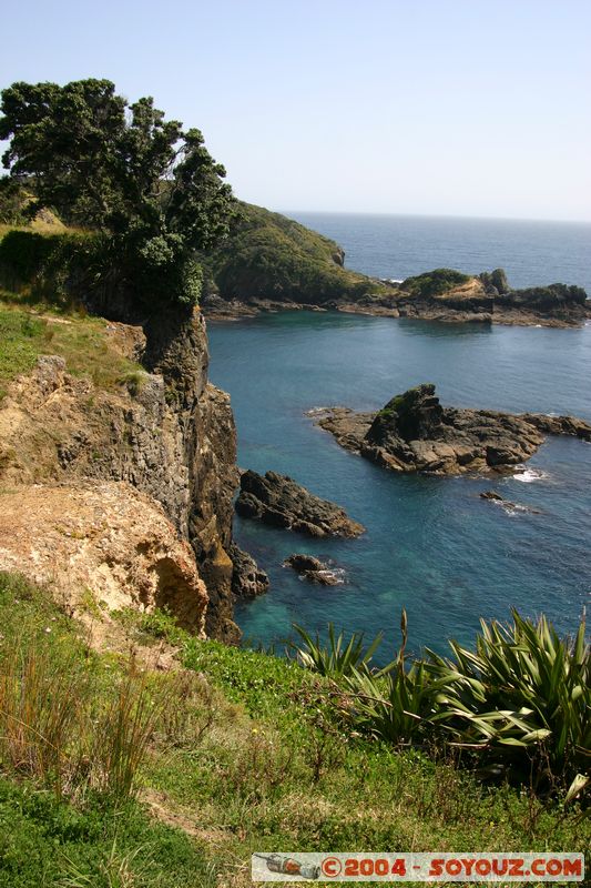 Bay of Islands - Waewaetoria Island
Mots-clés: New Zealand North Island mer
