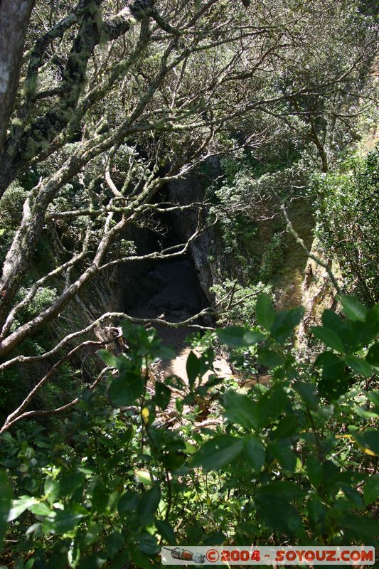 Bay of Islands - Robertson Island
Mots-clés: New Zealand North Island