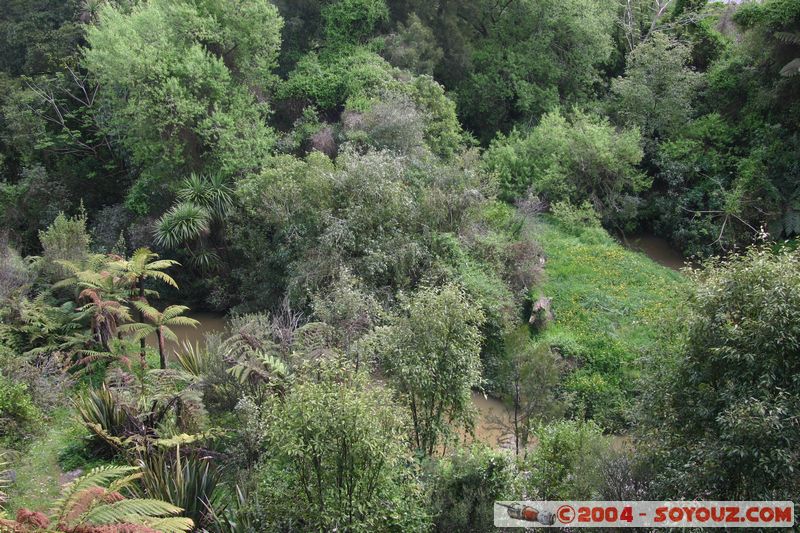 Waitomo Caves
Mots-clés: New Zealand North Island