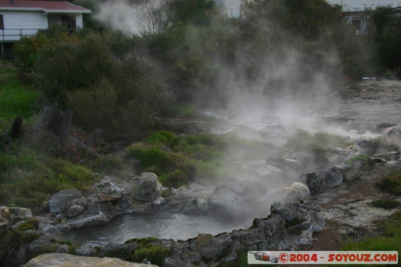 Rotorua - Ohinemutu - Hot springs
Mots-clés: New Zealand North Island geyser Thermes