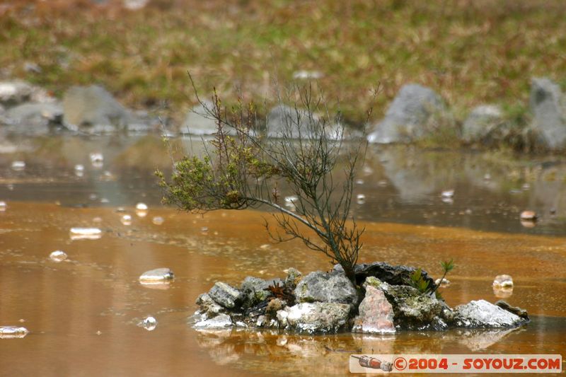 Whakarewarewa Village - Geothermal Area
Mots-clés: New Zealand North Island maori Thermes geyser