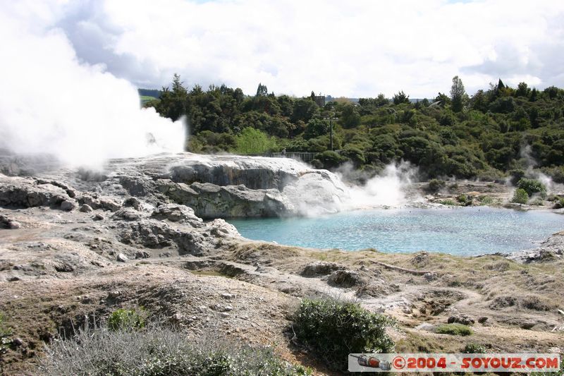 Whakarewarewa Village - Pohutu Geyser
