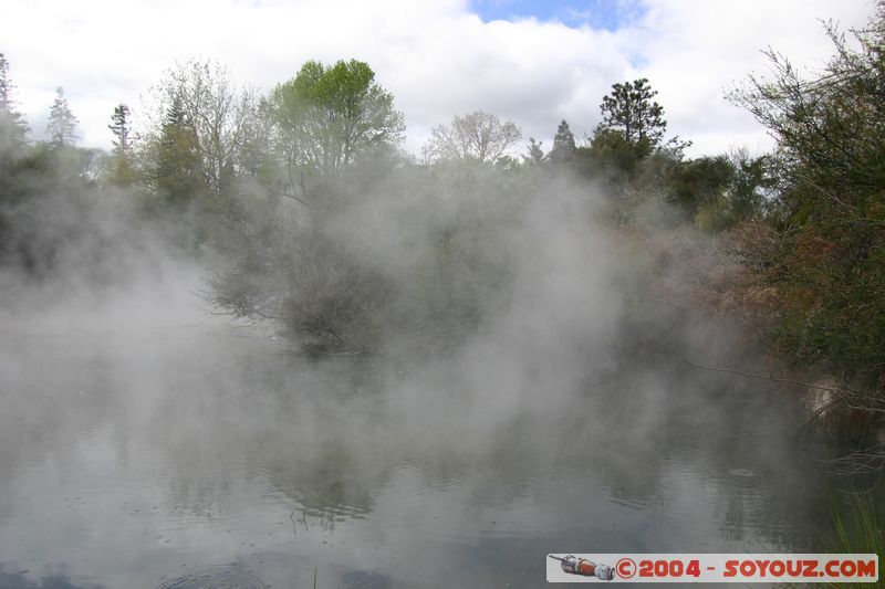 Rotorua - Kuirau Park - Hot Pools
Mots-clés: New Zealand North Island Thermes geyser