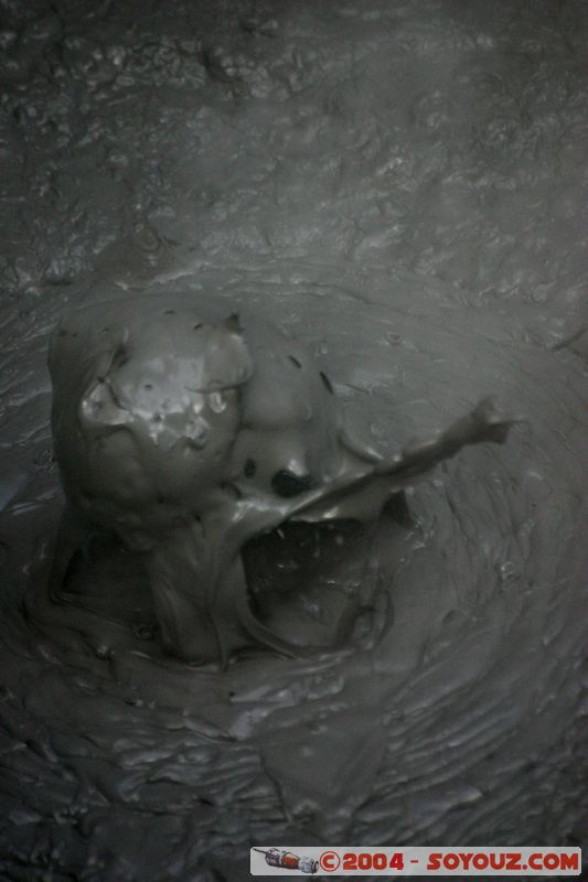 Rotorua - Kuirau Park - Mud bubbles
Mots-clés: New Zealand North Island Thermes geyser