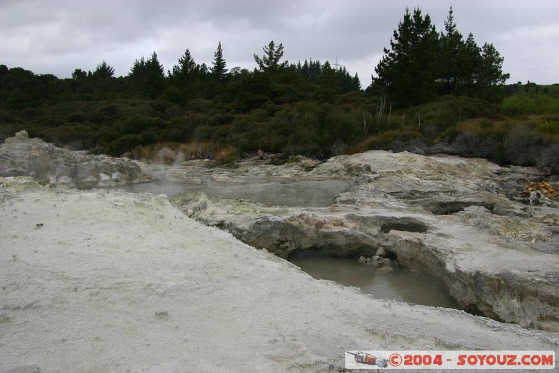 Hell's Gate
Mots-clés: New Zealand North Island Thermes geyser