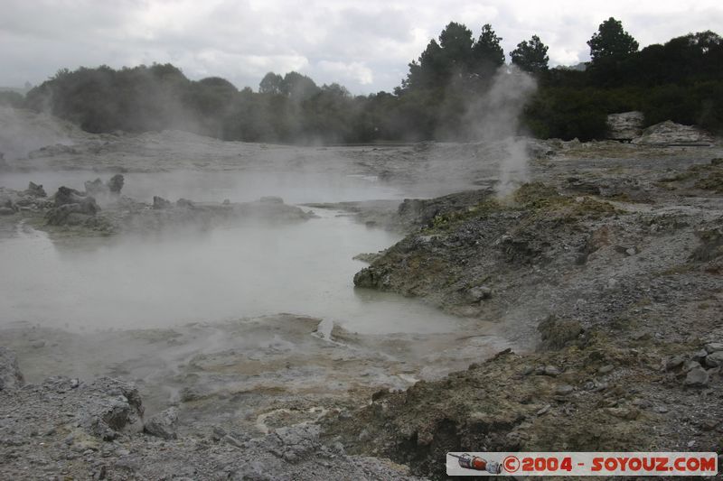 Hell's Gate
Mots-clés: New Zealand North Island Thermes geyser