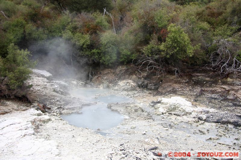 Hell's Gate
Mots-clés: New Zealand North Island Thermes geyser
