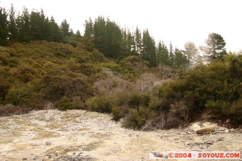 Hell's Gate
Mots-clés: New Zealand North Island Thermes geyser