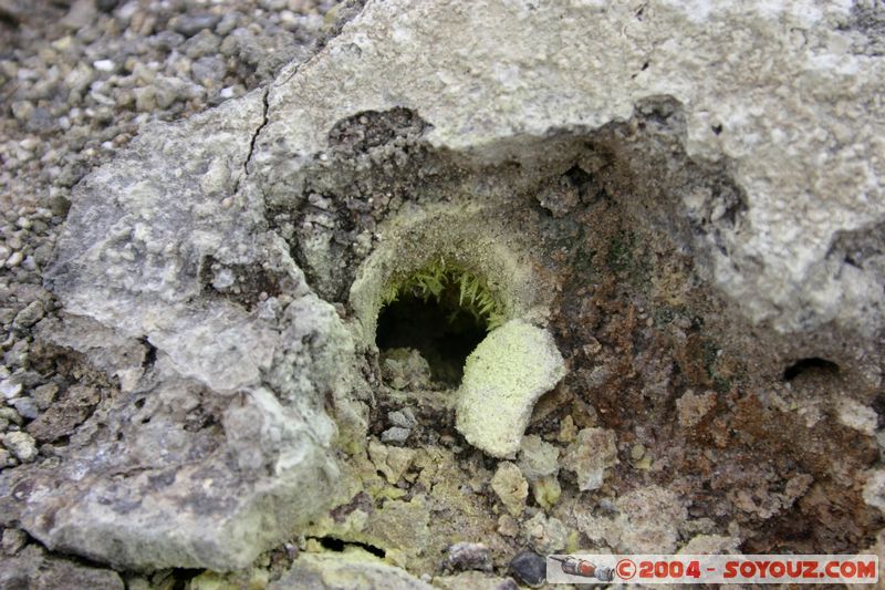 Hell's Gate
Mots-clés: New Zealand North Island Thermes geyser