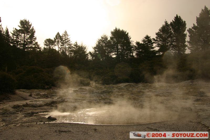 Hell's Gate
Mots-clés: New Zealand North Island Thermes geyser sunset