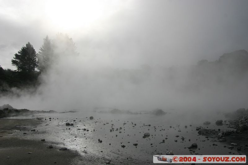 Hell's Gate
Mots-clés: New Zealand North Island Thermes geyser sunset