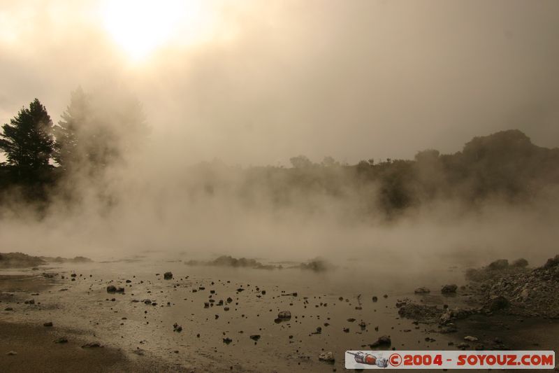 Hell's Gate
Mots-clés: New Zealand North Island Thermes geyser sunset