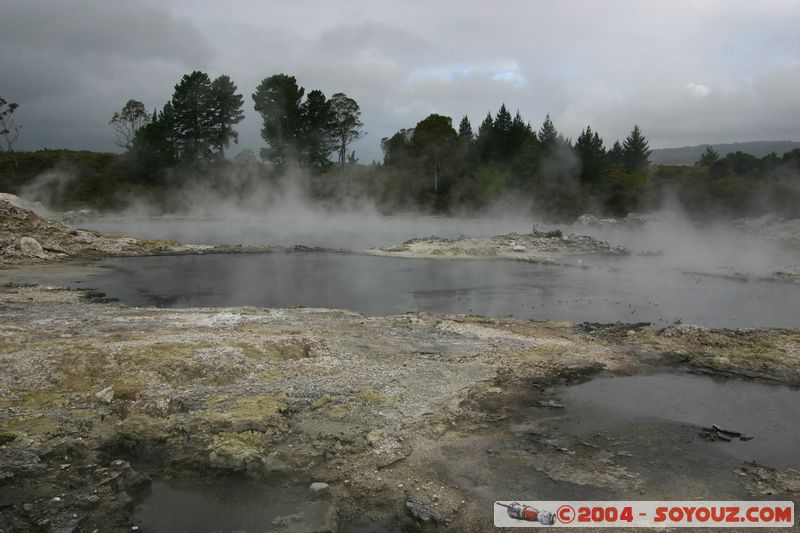 Hell's Gate
Mots-clés: New Zealand North Island Thermes geyser