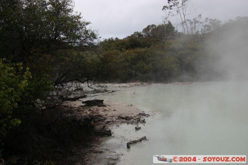 Hell's Gate
Mots-clés: New Zealand North Island Thermes geyser