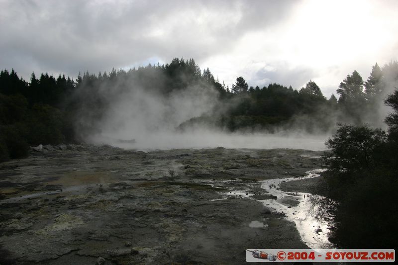 Hell's Gate
Mots-clés: New Zealand North Island Thermes geyser sunset