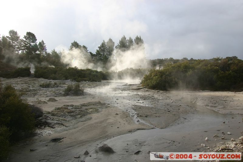 Hell's Gate
Mots-clés: New Zealand North Island Thermes geyser