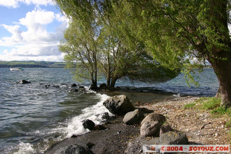 Lake Taupo
Mots-clés: New Zealand North Island Lac Arbres