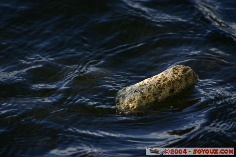 Lake Taupo - Pumice rock
Mots-clés: New Zealand North Island Lac