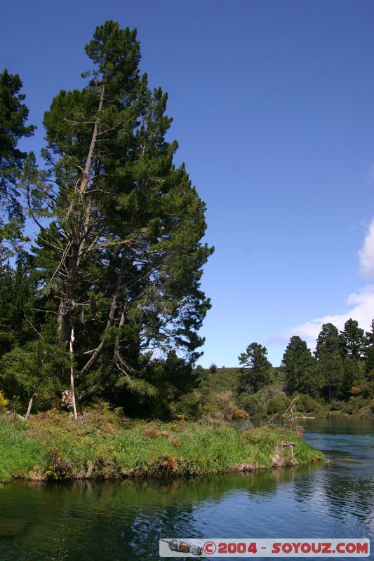 Taupo - Waikato River
Mots-clés: New Zealand North Island Riviere