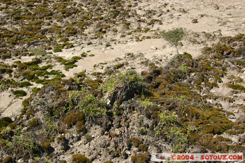 Taupo - Craters of the Moon
Mots-clés: New Zealand North Island geyser Thermes