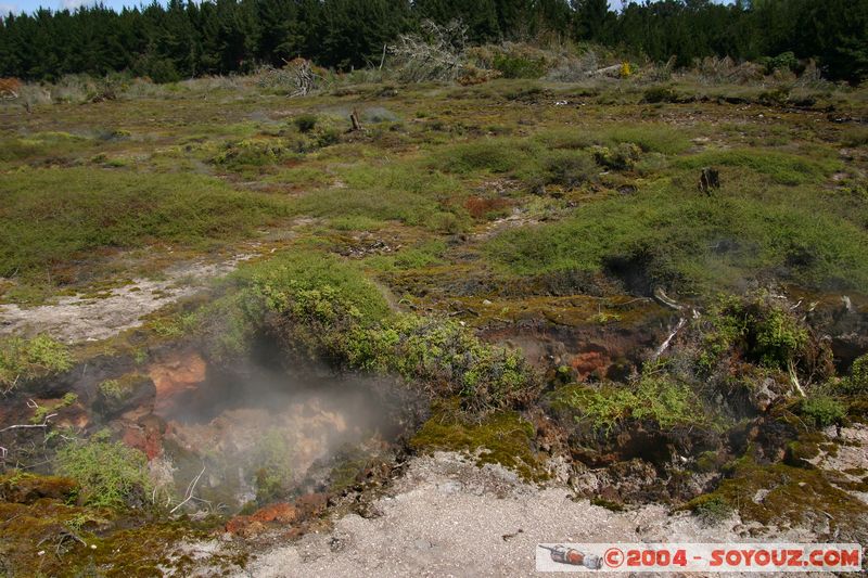 Taupo - Craters of the Moon
Mots-clés: New Zealand North Island geyser Thermes
