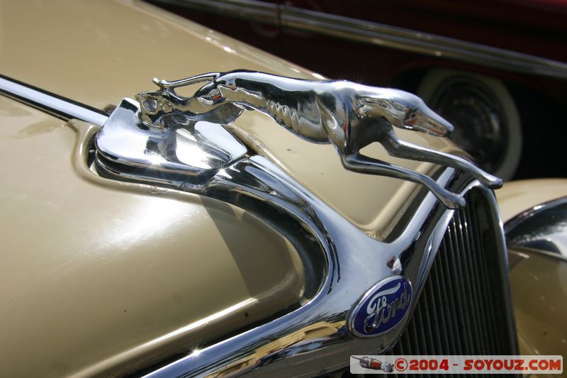 Napier - Old Cars Exhibition - Ford
Mots-clés: New Zealand North Island voiture