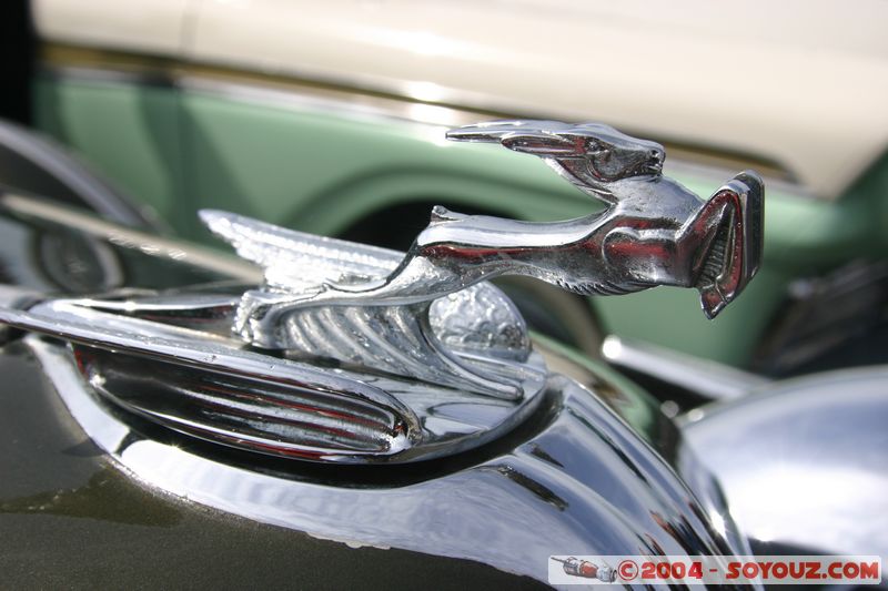 Napier - Old Cars Exhibition - Fairlane
Mots-clés: New Zealand North Island voiture
