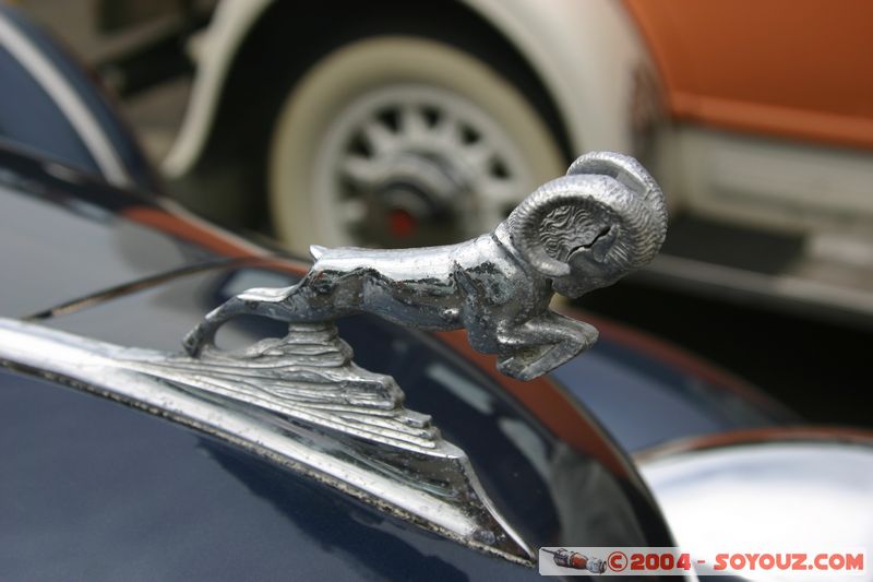 Napier - Old Cars Exhibition
Mots-clés: New Zealand North Island voiture