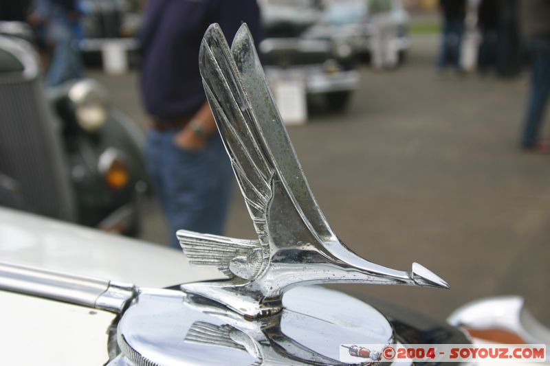 Napier - Old Cars Exhibition
Mots-clés: New Zealand North Island voiture