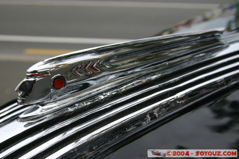 Napier - Old Cars Exhibition
Mots-clés: New Zealand North Island voiture