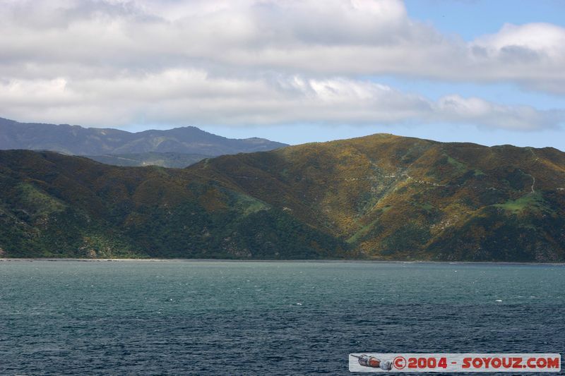 Wellington Coast
Mots-clés: New Zealand North Island