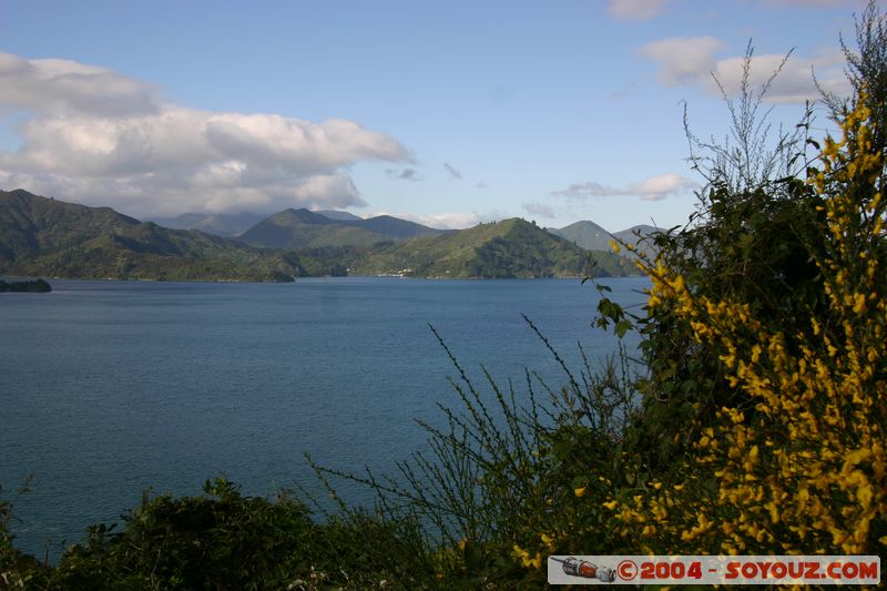 Queen Charlotte Sound - Okiwa Bay
Mots-clés: New Zealand South Island mer